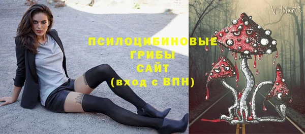дмт Козловка