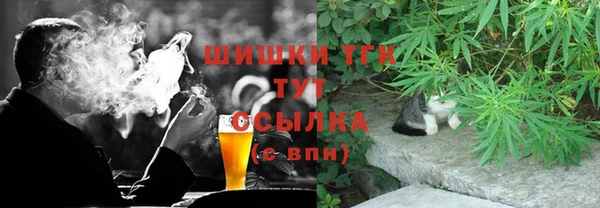 дмт Козловка