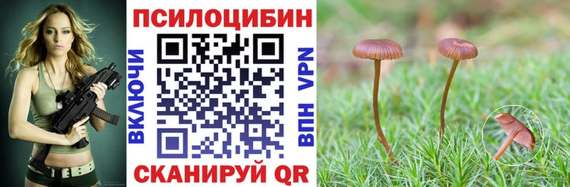 shop какой сайт  Кировск  Галлюциногенные грибы GOLDEN TEACHER 